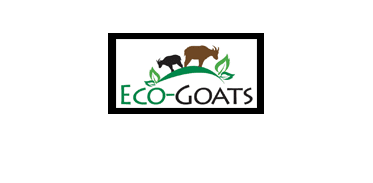 Eco Goats Image